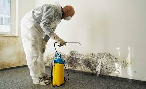 Best Residential Mold Inspection & Testing in Harmony, RI